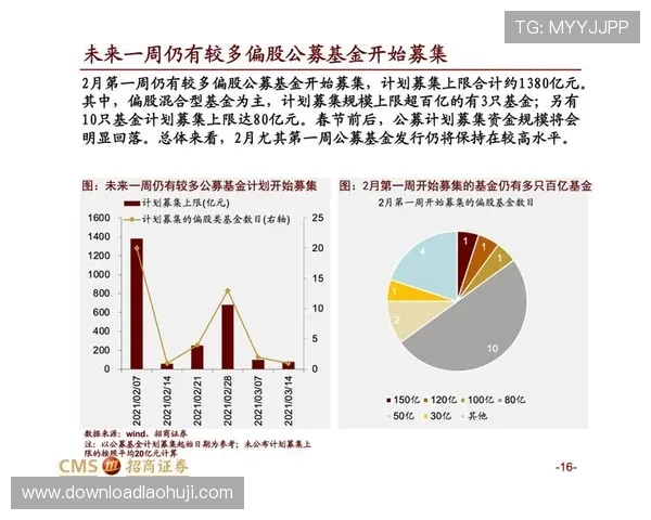 全面解析老虎机网络游戏平台的玩法技巧与盈利策略